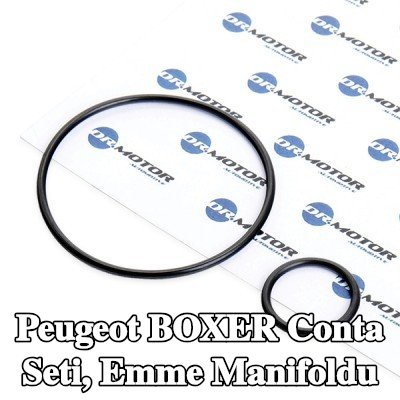DR.MOTOR AUTOMOTIVE Conta Seti, emme manifoldu — 2000 Peugeot Boxer
