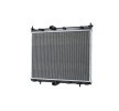 HELLA Contalı/sızdırmazlık elemanlı motor radyatörü — DS Ds3 (1)