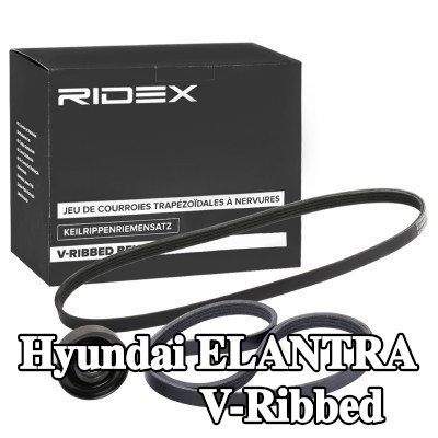 RIDEX مجموعة أحزمة V-Ribbed — 2010 Hyundai Elantra