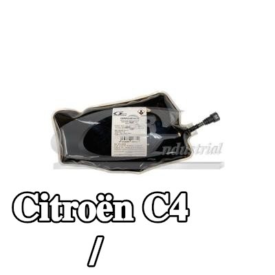 3RG مضافات، تجديد مرشح السخام/الجسيمات — Citroën C4