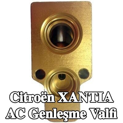 MAHLE AC genleşme valfi — Citroën Xantia