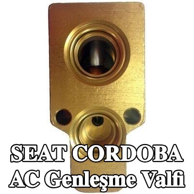MAHLE AC genleşme valfi — 2000 SEAT Cordoba