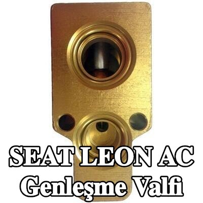MAHLE AC genleşme valfi — 2002 SEAT Leon