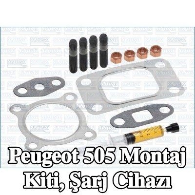 AJUSA Montaj Kiti, conta/sızdırmazlık elemanları ile şarj cihazı — Peugeot 505