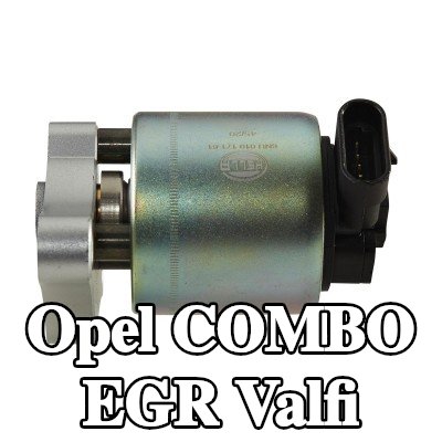 HELLA Contalı/sızdırmazlık elemanlı EGR valfi — 2002 Opel Combo