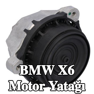 FEBI BILSTEIN Motor yatağı, sol — 2019 BMW X6