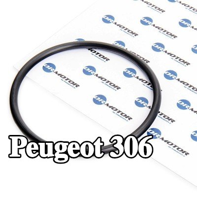 DR.MOTOR AUTOMOTIVE حشية مانعة للتسرب، مرشح الوقود — Peugeot 306