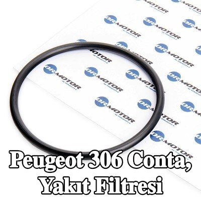 DR.MOTOR AUTOMOTIVE Conta, yakıt filtresi — Peugeot 306