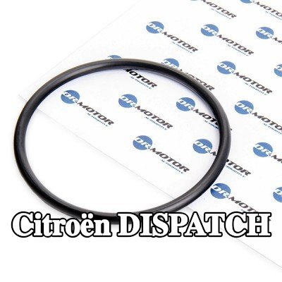 DR.MOTOR AUTOMOTIVE حشية مانعة للتسرب، مرشح الوقود — Citroën Dispatch