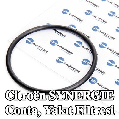 DR.MOTOR AUTOMOTIVE Conta, yakıt filtresi — Citroën Synergie