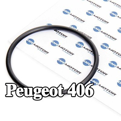 DR.MOTOR AUTOMOTIVE حشية مانعة للتسرب، مرشح الوقود — Peugeot 406
