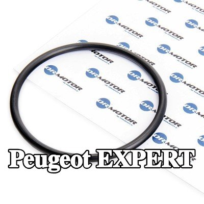 DR.MOTOR AUTOMOTIVE حشية مانعة للتسرب، مرشح الوقود — Peugeot Expert