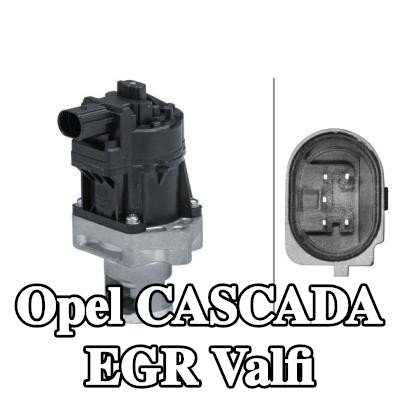 HELLA Contalı/sızdırmazlık elemanlı EGR valfi — 2014 Opel Cascada