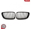 ESEN SKV Her İki Taraf Radyatör Izgarası, Parlak, mat siyah — 2012 BMW 2 Series (1)