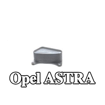 MAHLE مبرد زيت المحرك مع الحشوات/الأختام — 2020 Opel Astra