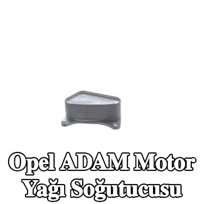 MAHLE Conta/sızdırmazlık elemanları ile motor yağı soğutucusu — 2016 Opel Adam
