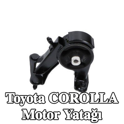 KAVO PARTS Motor yatağı — 2015 Toyota Corolla