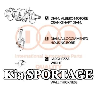 IAP QUALITY PARTS مجموعة محامل قضيب التوصيل — 2016 Kia Sportage
