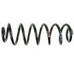 SACHS Helezon yay — Volkswagen Eos (4)