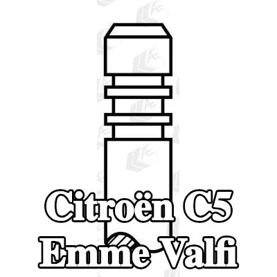 AE Emme valfi Krom kaplı valf gövdesi, Sertleştirilmiş valf yuvası, Sertleştirilmiş valf sapı ucu — Citroën C5