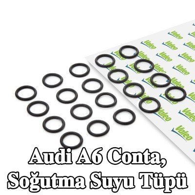 VALEO Conta, soğutma suyu tüpü — Audi A6