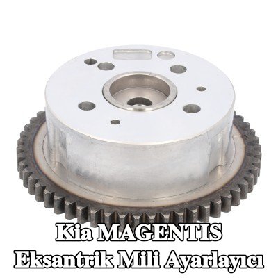 FEBI BILSTEIN Emme tarafı eksantrik mili ayar tertibatı, vidasız — Kia Magentis