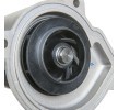 RIDEX Su Pompası + V-Yivli Kayış Kiti contalı/sızdırmaz — SEAT Toledo (7)