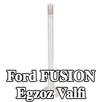FEBI BILSTEIN Egzoz valfi — Ford Fusion