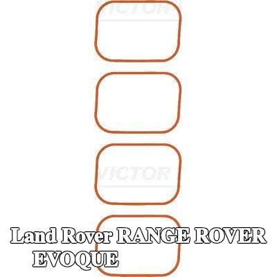 REINZ مجموعة حشيات، مشعب السحب — Land Rover Range Rover Evoque