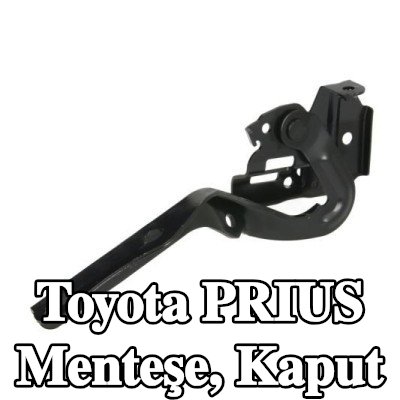 BLIC Menteşe, kaput — 2012 Toyota Prius