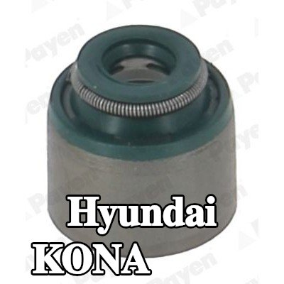 PAYEN حشية صمام — 2017 Hyundai Kona