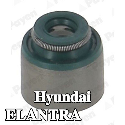 PAYEN حشية صمام — Hyundai Elantra