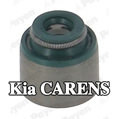 PAYEN حشية صمام — 2016 Kia Carens