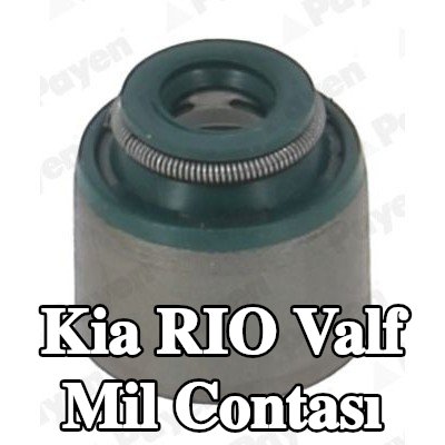 PAYEN Valf mil contası — Kia Rio