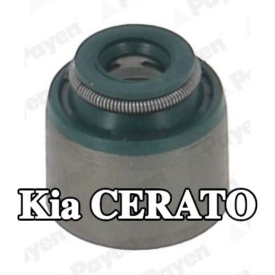 PAYEN حشية صمام — Kia Cerato
