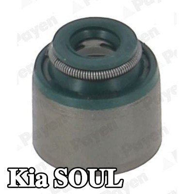 PAYEN حشية صمام — Kia Soul