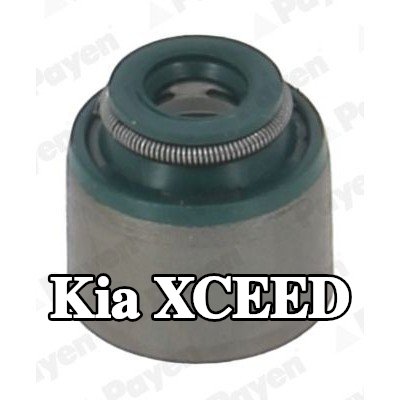 PAYEN حشية صمام — Kia Xceed