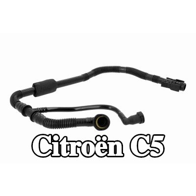 VAICO خرطوم تنفيس علبة المرافق مع مقبس أنبوب — 2002 Citroën C5