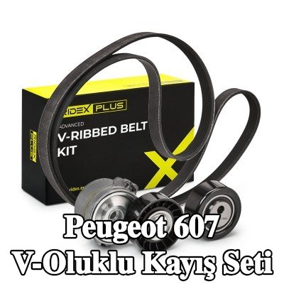 RIDEX PLUS V-Oluklu Kayış Seti — 2006 Peugeot 607