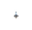 BOSCH Ampul — Ford Econovan (4)