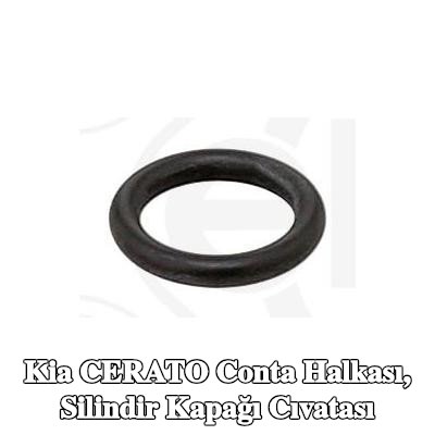 ELRING Conta halkası, silindir kapağı cıvatası — Kia Cerato