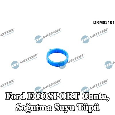 DR.MOTOR AUTOMOTIVE Conta, soğutma suyu tüpü — Ford Ecosport