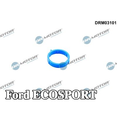 DR.MOTOR AUTOMOTIVE حشية مانعة للتسرب، أنبوب سائل التبريد — Ford Ecosport