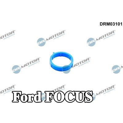 DR.MOTOR AUTOMOTIVE حشية مانعة للتسرب، أنبوب سائل التبريد — Ford Focus