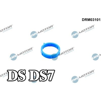 DR.MOTOR AUTOMOTIVE حشية مانعة للتسرب، أنبوب سائل التبريد — DS Ds7