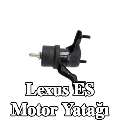KAVO PARTS Motor yatağı — 2008 Lexus Es
