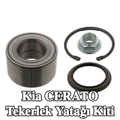 FEBI BILSTEIN Somunlu tekerlek yatağı kiti, tutma halkası, mil contası ile — 2002 Kia Cerato
