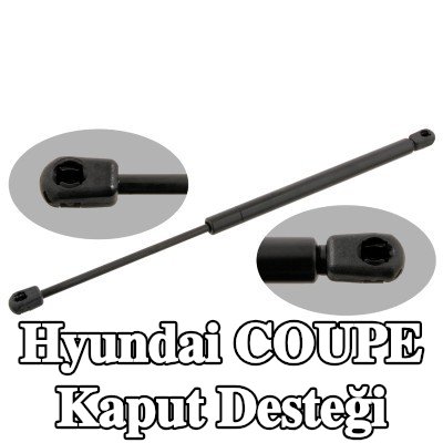 FEBI BILSTEIN Kaput destek çubuğu her iki taraf — Hyundai Coupe