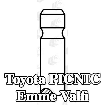 AE Emme valfi — Toyota Picnic