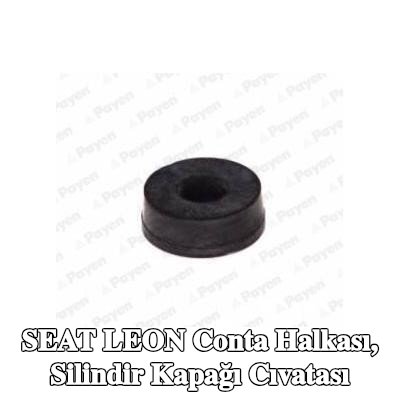 PAYEN Conta halkası, silindir kapağı cıvatası — 2000 SEAT Leon